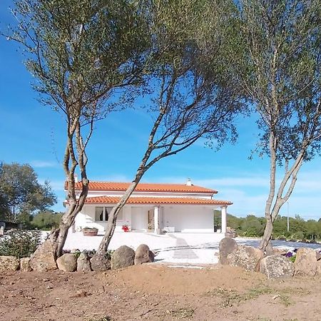 Casa Vacanze Olbia - Alebea - Εξωτερικό φωτογραφία