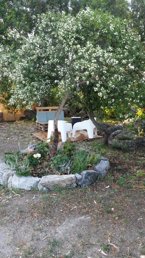 Casa Vacanze Olbia - Alebea - Εξωτερικό φωτογραφία