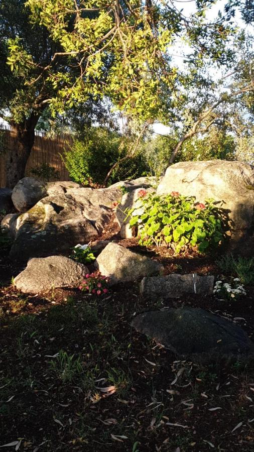 Casa Vacanze Olbia - Alebea - Εξωτερικό φωτογραφία