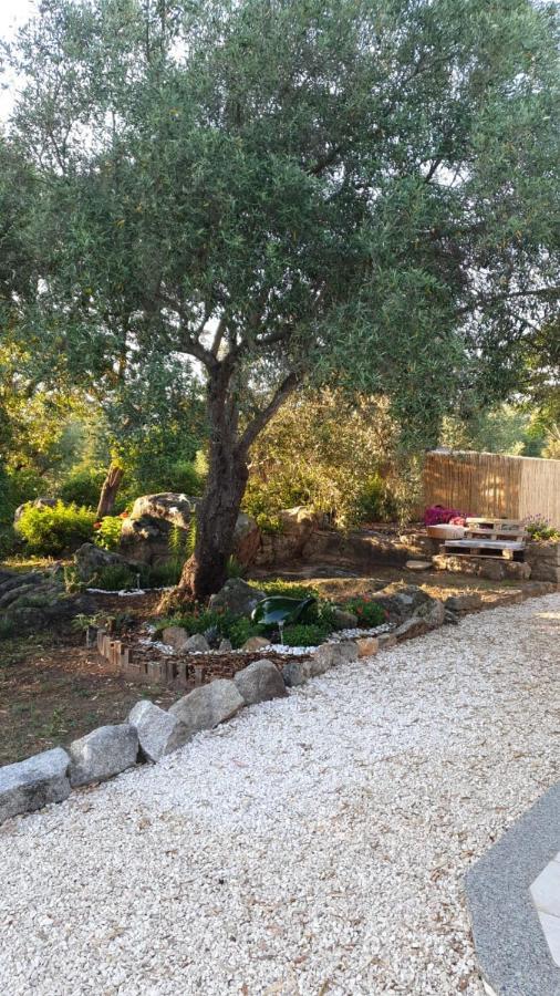 Casa Vacanze Olbia - Alebea - Εξωτερικό φωτογραφία
