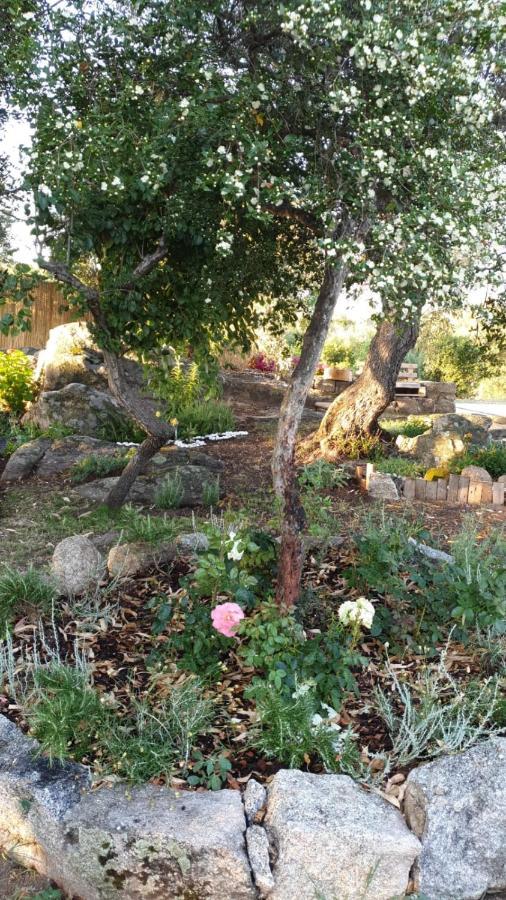 Casa Vacanze Olbia - Alebea - Εξωτερικό φωτογραφία